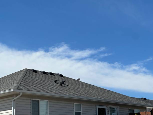 Best Asphalt Shingle Roofing  in North Liberty, IN